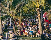 darwin_the_city_tour