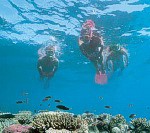 green_island_on_the_reef