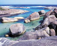 valley_of_the_giants